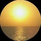 nicole gatteri Avatar